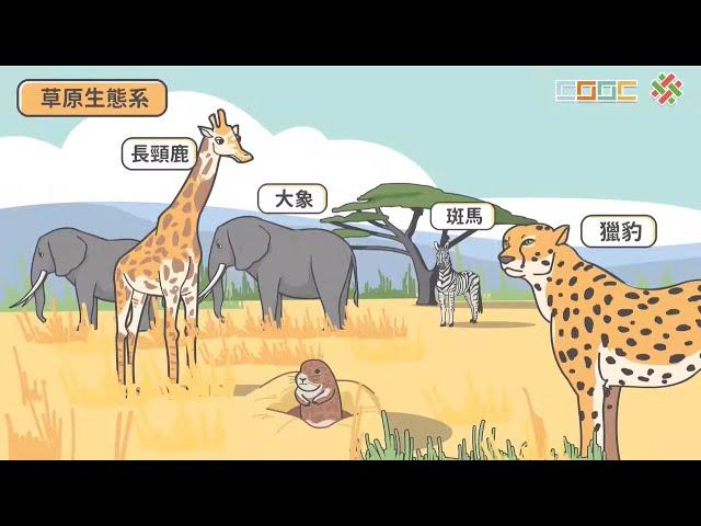 108新課綱｜七下生物｜【觀念】生態系的類型－陸域生態系