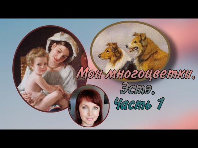 Мои многоцветки.Эстэ. Часть 1.