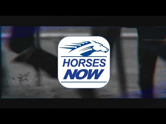 Horses Now Ep 5: Training the Future: Choosing the Right Yearlings with Kenny McPeek