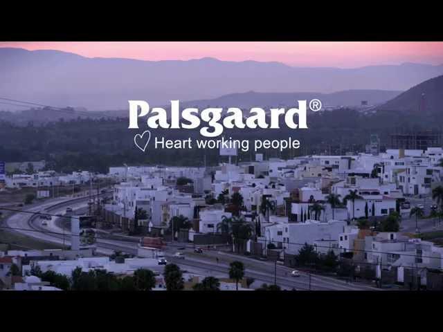 Palsgaard Corporate Film