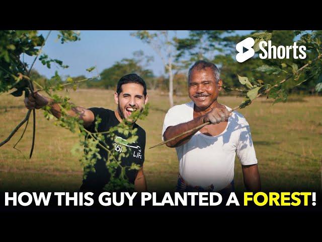 He Planted An Entire Forest By Himself  #112