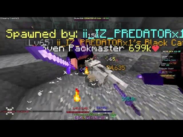 Loot shared Overflux #10 total | Hypixel Skyblock