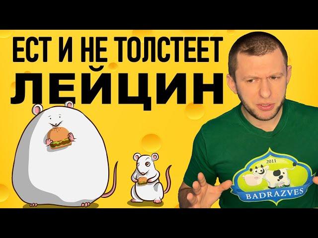 как есть Лейцин и не толстеть? Аминокислота лейцин польза для организма.