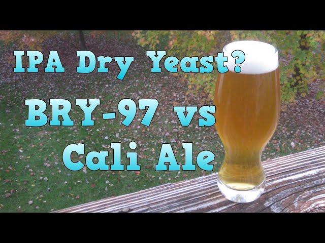 Dry Yeast for an IPA? BRY-97 vs Cali Ale