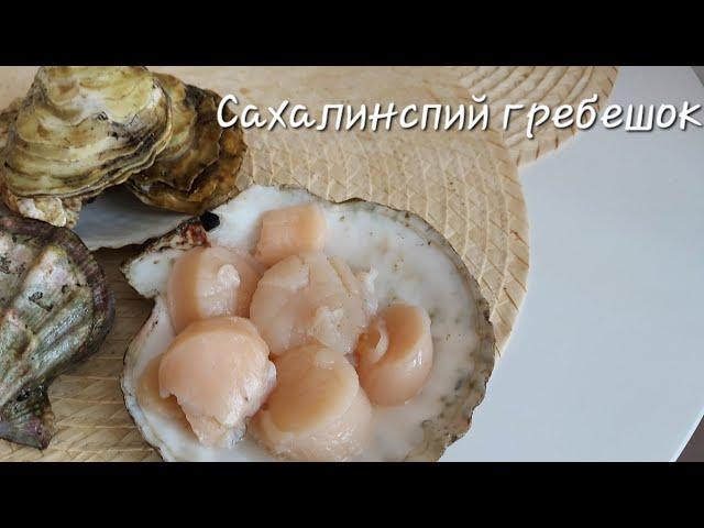 Сахалинский обед , гребешок и устрицы. #природа #сахалин #рыбалка