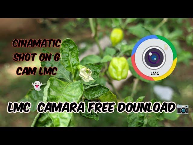 LMC Camara 8.4 දාගෙන වැඩ්ඩෙක් වගෙ පොටොස් ගන්න..