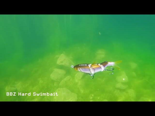 FishLab BBZ Hard Swimbait - Swim Action