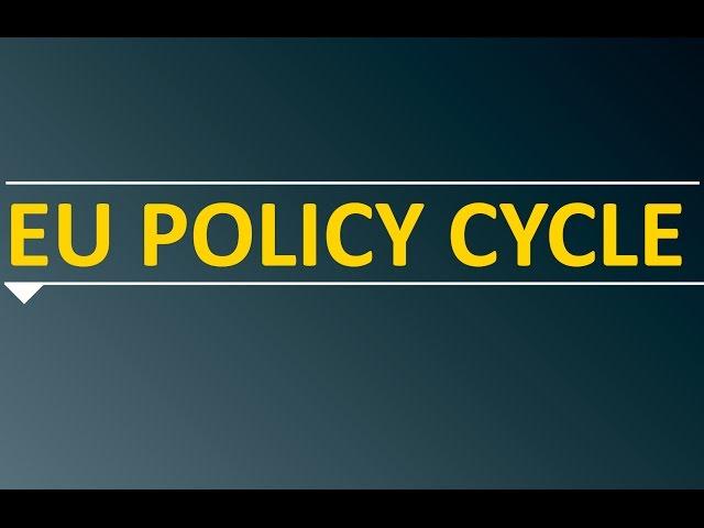 What is the EU policy cycle?