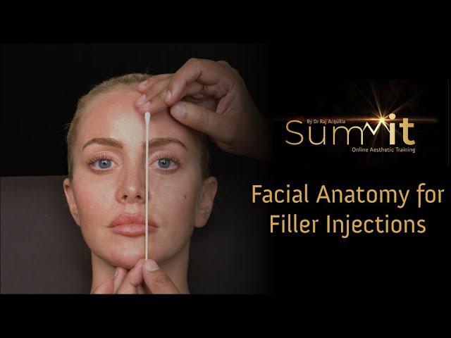 Facial Anatomy for Filler Injections Module | SUMMIT Online Aesthetic Training