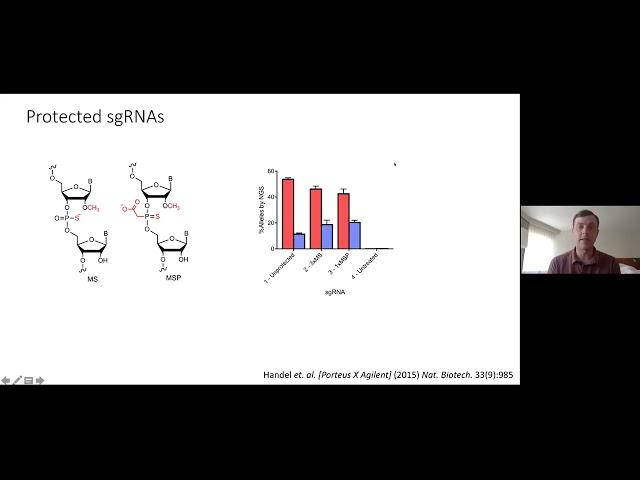 IGI Seminar Series – Correction of the Sickle Cell Disease Mutation with CRISPR-Cas9