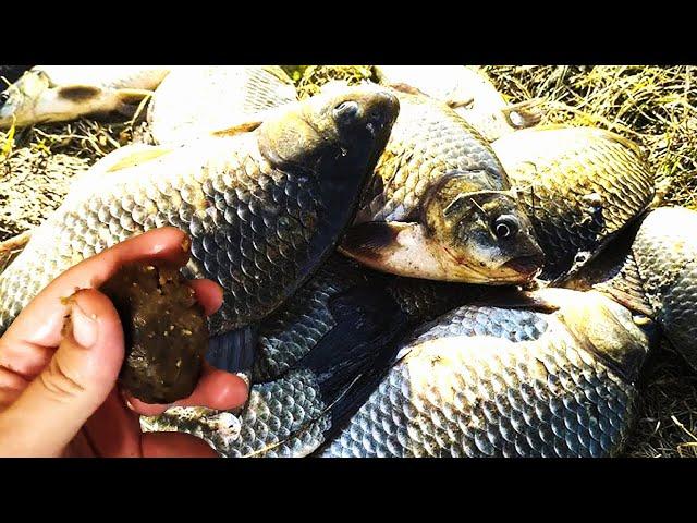 По холодной воде для рыбалки на кормаки и донки, насадка - мастырка.