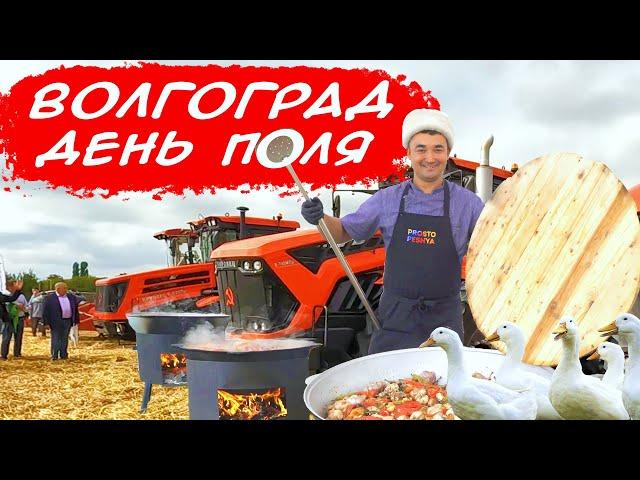 ТРИ КОРОННЫХ БЛЮДА АЛИШЕРА | ДЕНЬ ПОЛЯ В ВОЛГОГРАДЕ