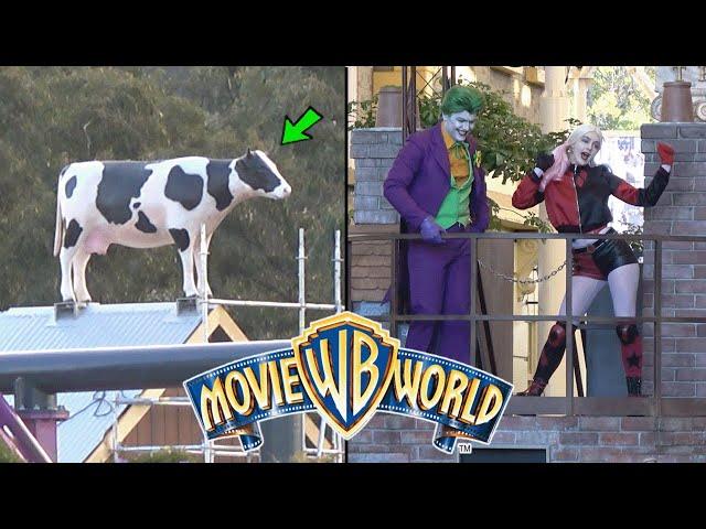 Movie World | COW in WIZARD OF OZ LAND, New Rides Update & MORE!