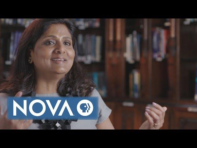 Black Hole Hunter: Priyamvada Natarajan