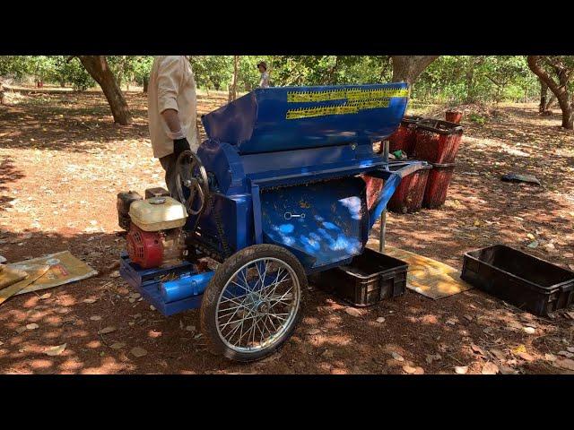 Cashew detached nuts machine 2023