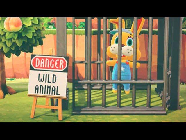 Best ANIMAL CROSSING New Horizons Clips #117