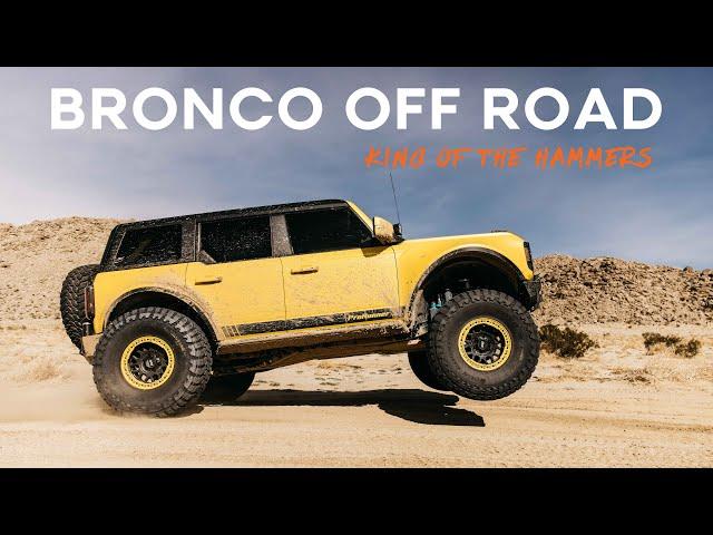 Ford Bronco Long Travel Off Road | King of the Hammer 2024