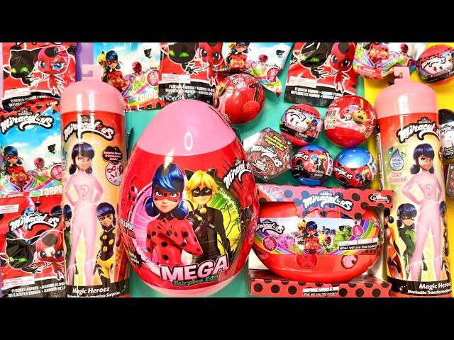 New Miraculous Ladybug Toys 2024 Collection Mystery Heroez Blind Ball Surprises ASMR