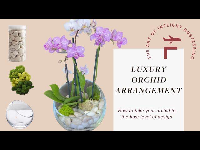 Luxury Orchid Arrangement- Private Jet Edition!