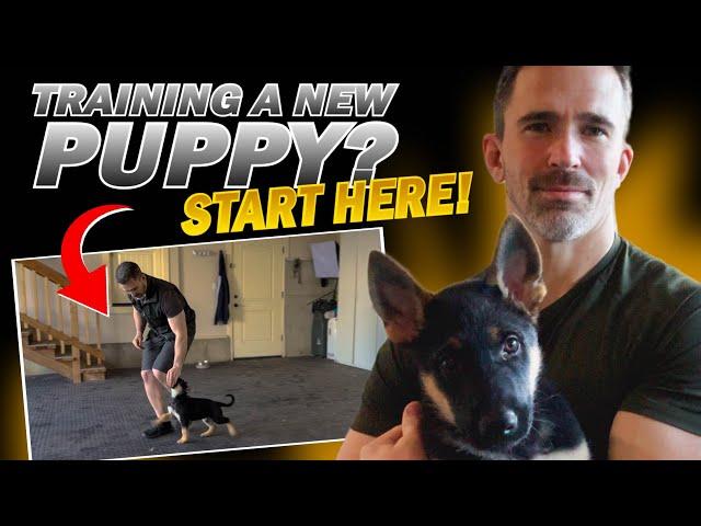 First Step to Training Your New Puppy!