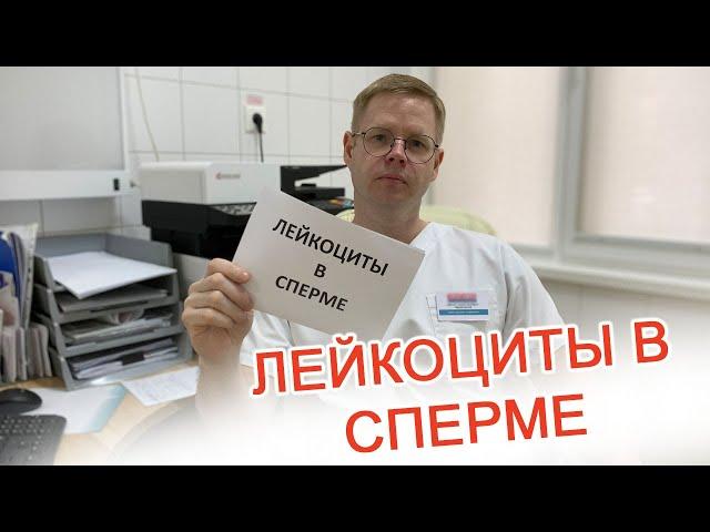 Лейкоциты в сперме / Доктор Черепанов
