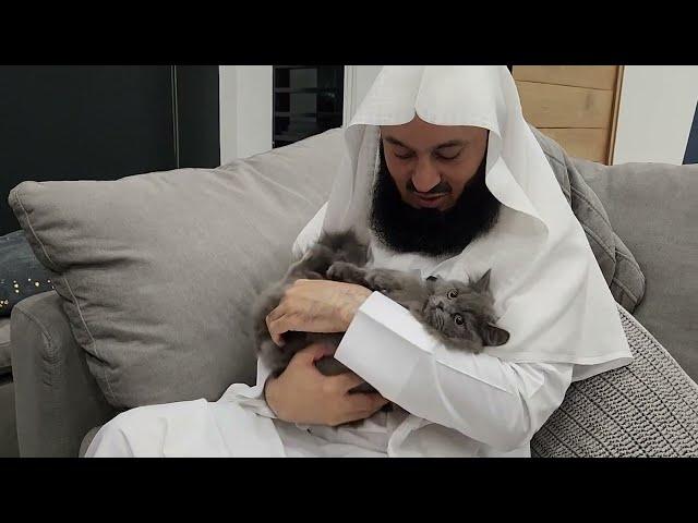 The most adorable cat on the planet???  Mufti Menk in Trinidad 