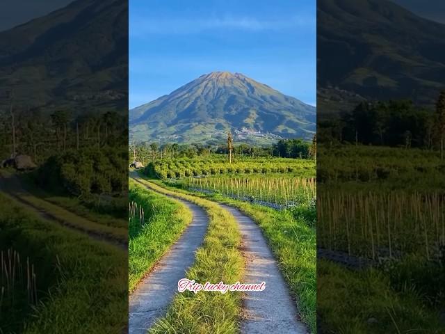 WISATA MAGELANG MEMANG TIDAK ADA YANG GAGAL#wisatamagelang#gunungsumbing #dieng#wonosobo#nature
