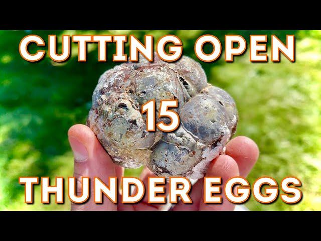 [WOW] Cutting & Exposing Thunder Egg Cores with Lapidary saw!