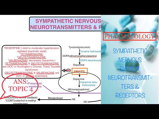 PHARMACOLOGY:SYMPATHETIC NERVOUS SYSTEM:NEUROTRANSMITTERS AND RECEPTORS//#ANS#ans#pharmacology