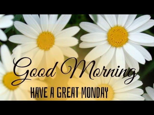 Monday good morning photos !! Best good morning flowers images