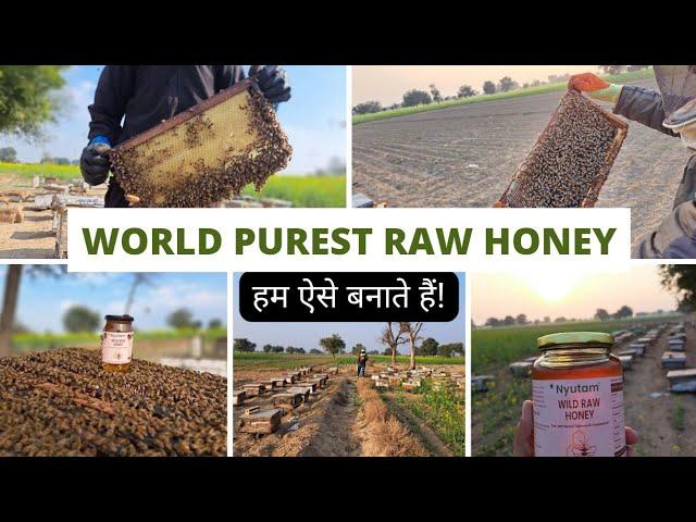 Purest Wild Raw Honey ऐसे बनता है | 100% Pure Honey Direct From Our Farm