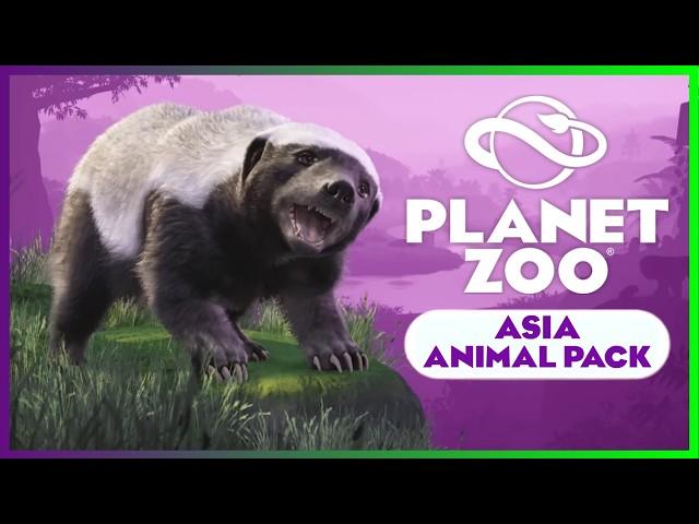 Asia Animal Pack DLC + New Update - Analysis| PLANET ZOO| Español