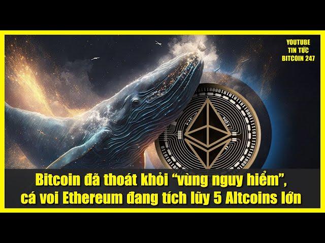 Bitcoin đã thoát khỏi “vùng nguy hiểm”, cá voi Ethereum đang tích lũy 5 Altcoins lớn