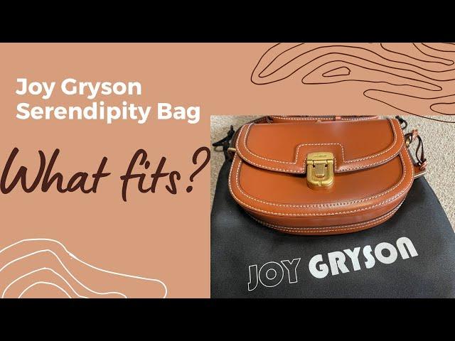 Joy Gryson Serendipity Bag (Medium): What fits?