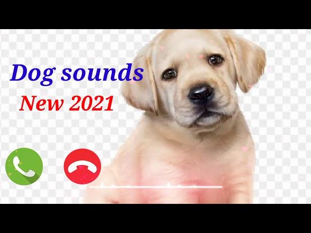 DOG new ringtone sound ||  New ringtone 2021