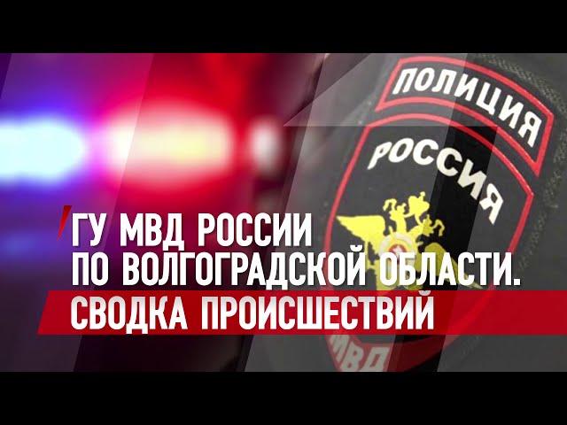 Сводка ГУ МВД России по Волгоградской области 29.12.2020 г.