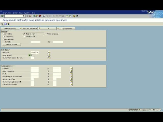 SAP time sheet: Transaction CAT2