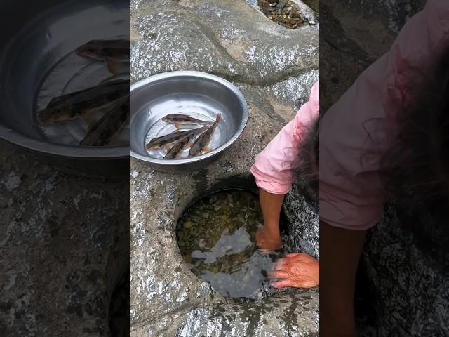 I Can't Believe She Found THIS in a Rock Pool! #Shorts #ytshorts #rockpool #youtubeshorts