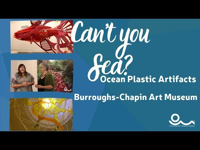 Myrtle Beach Art Museum dives deep on Ocean Plastics