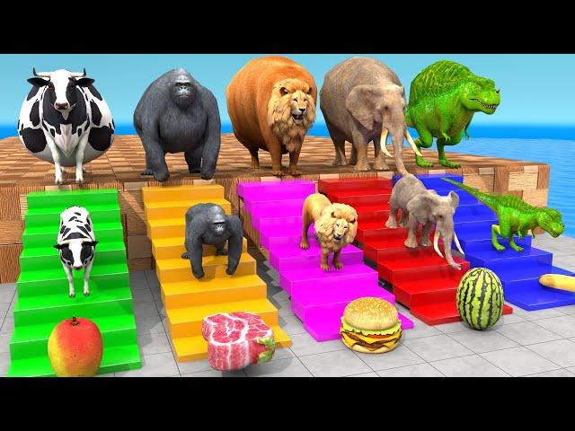 Cow Elephant Lion Gorilla T-Rex Choose the RIGHT Animal ESCAPE ROOM CHALLENGE Animal Cage Game