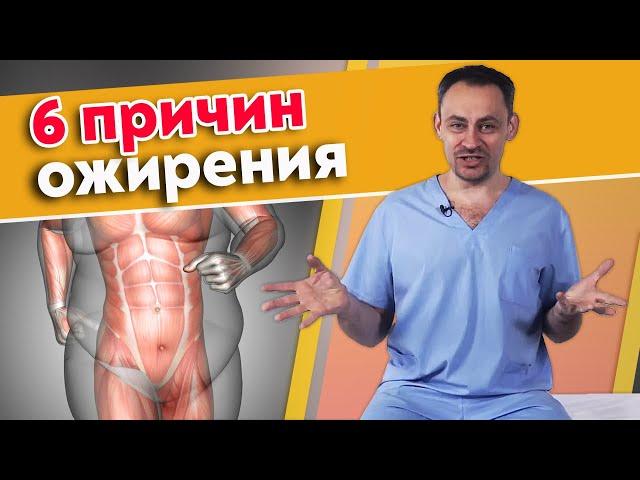 Почему люди толстеют? Основные причины лишнего веса | Профилактика ожирения