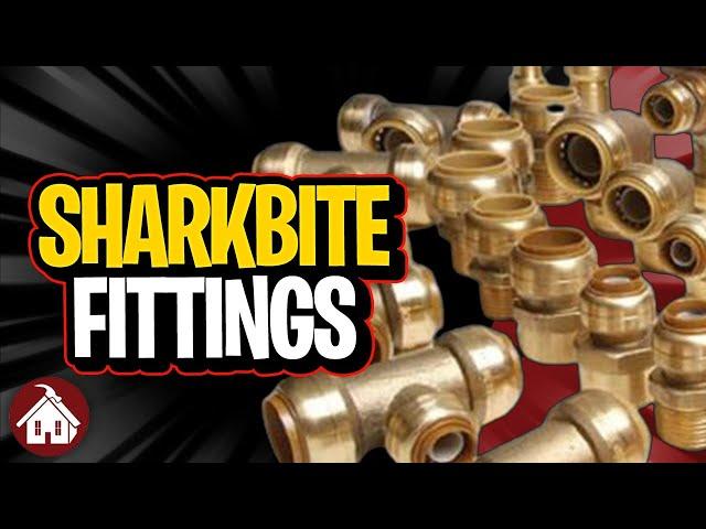 Everything You Need to Know about Sharkbite Fittings!