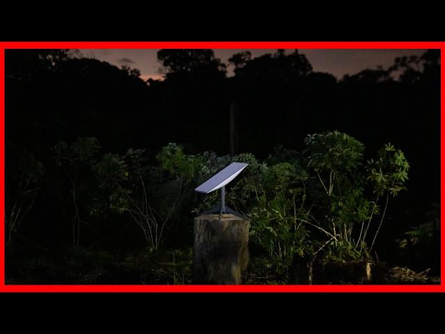 Starlink Internet Comes to The Amazon Rainforest