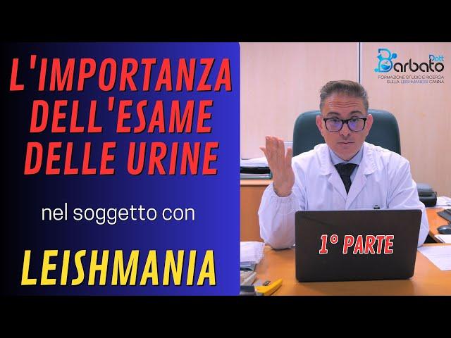 L' importanza dell'esame delle Urine /// Leishmaniosi - PARTE 1