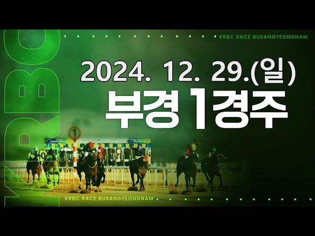 (부산) 2024.12.29 1경주