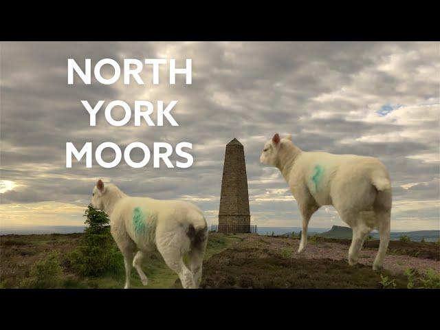 EPIC HIDDEN SURPRISE on North Yorkshire moors walk