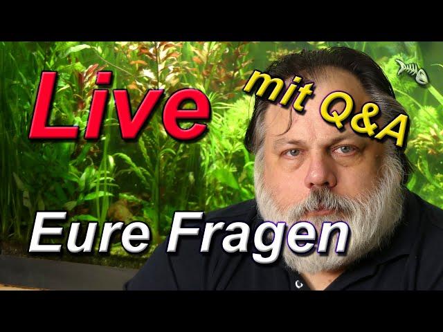 LIVE - mit Q&A #540 - FISCHHALTUNG IM NANOBECKEN - REACTION auf Garnelio