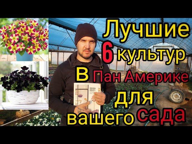 ХОТИТЕ ШИКАРНЫЕ САД. Супер сорта цветочных культур для вашего сада. Мой Топ 6 в PanAmerican Seed.