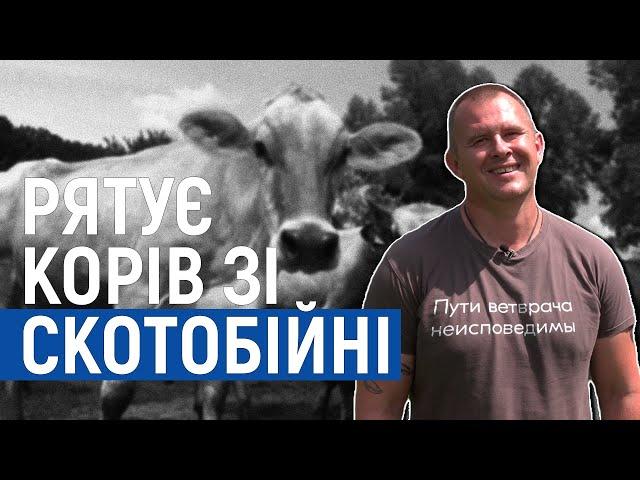 Фермер-блогер: як Михайло Травецький рятує корів від скотобійні