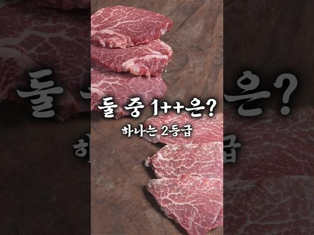 눈에 보이는 게 다가 아니었네